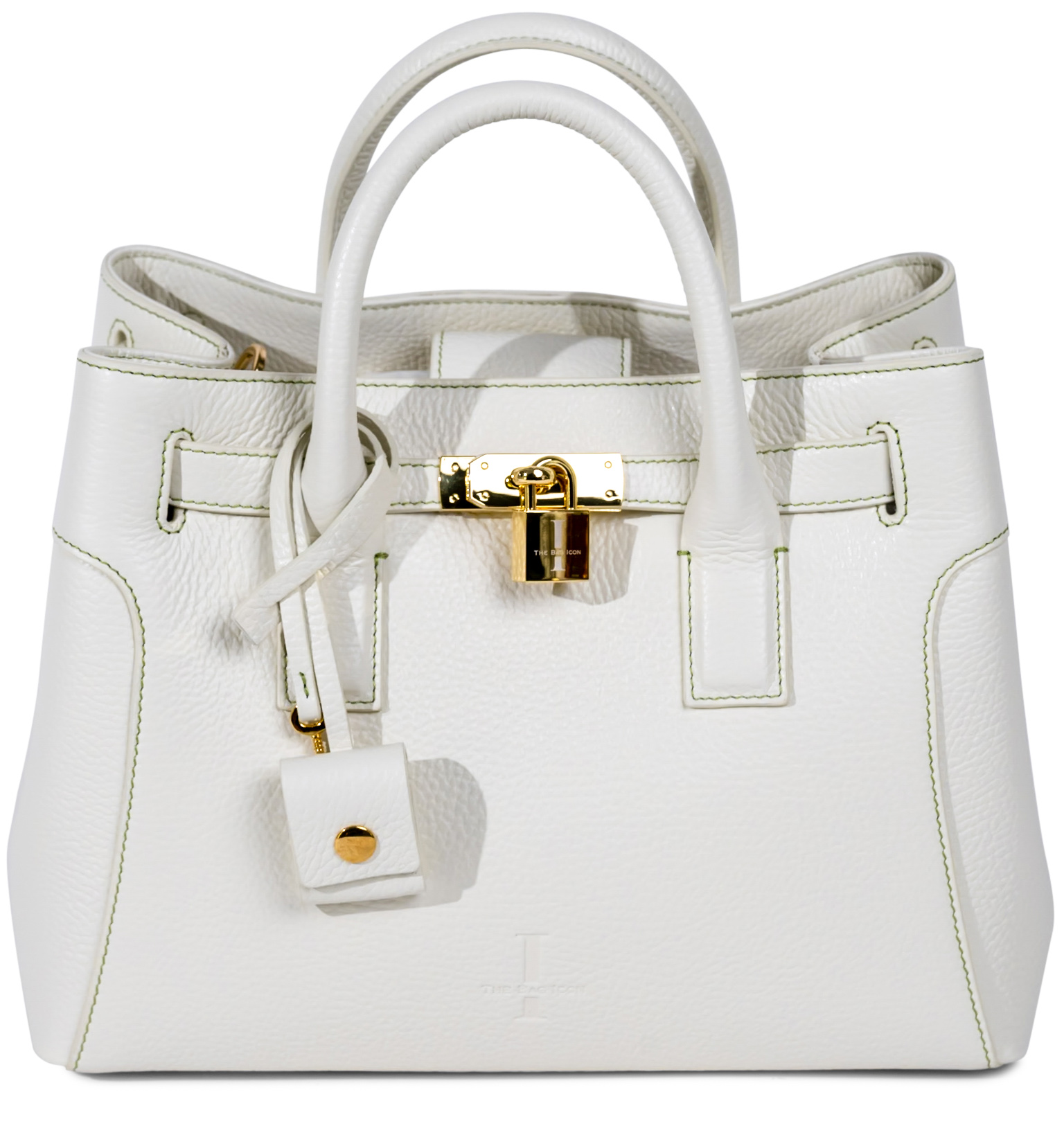 The Sharon Claudia Satchel