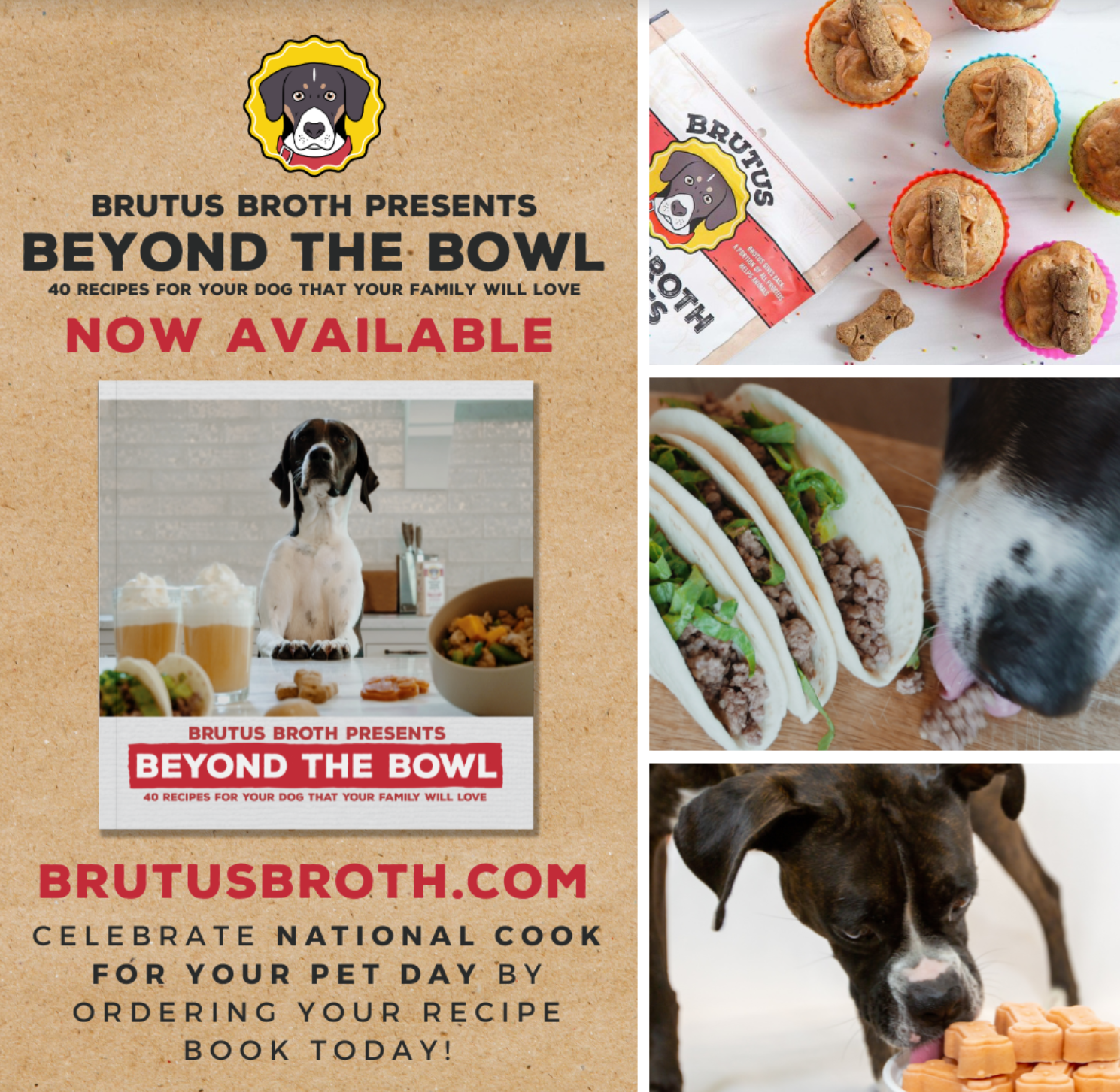 Beyond the Bowl Recipe Book
