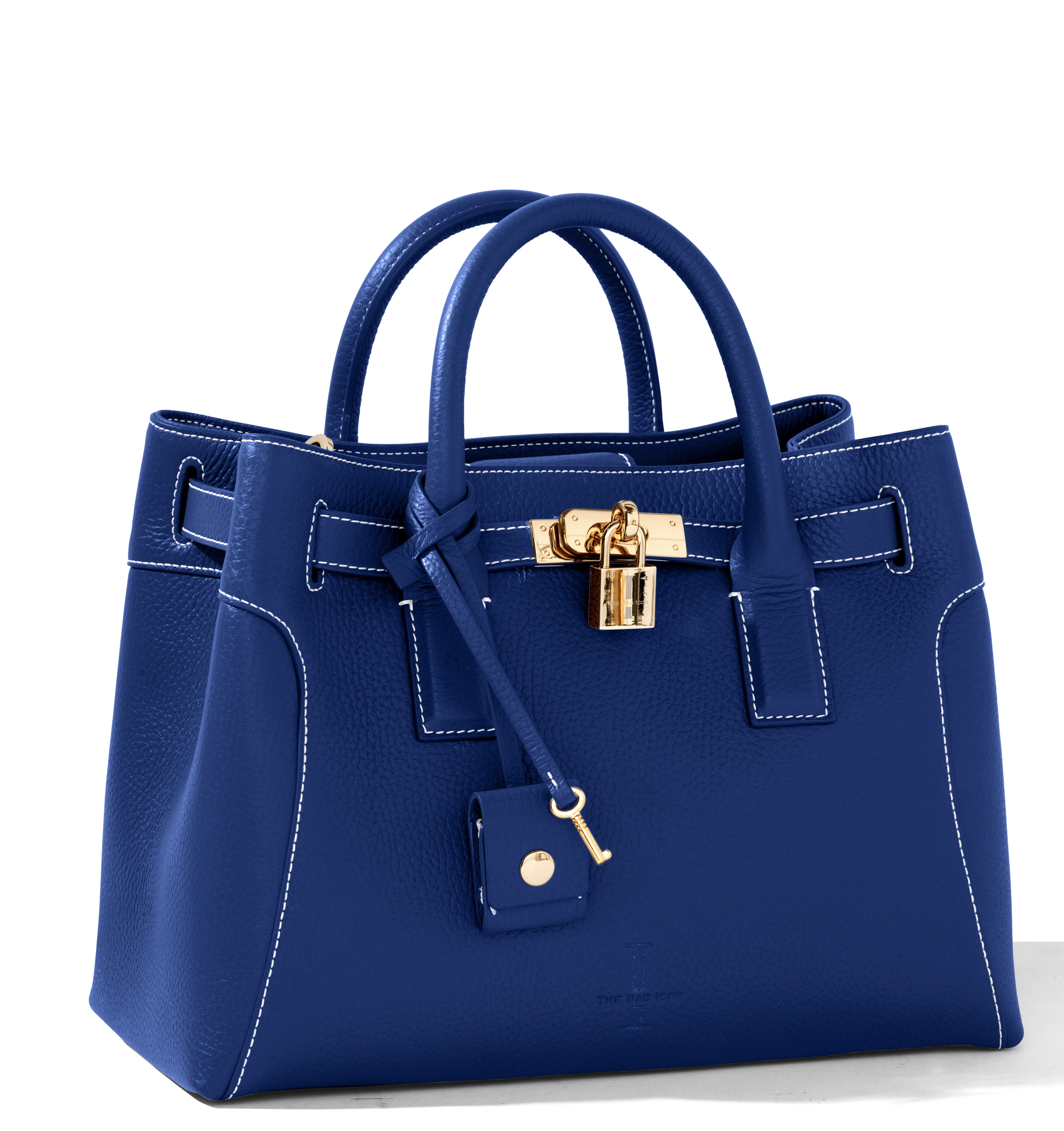 The Sharon Claudia Satchel