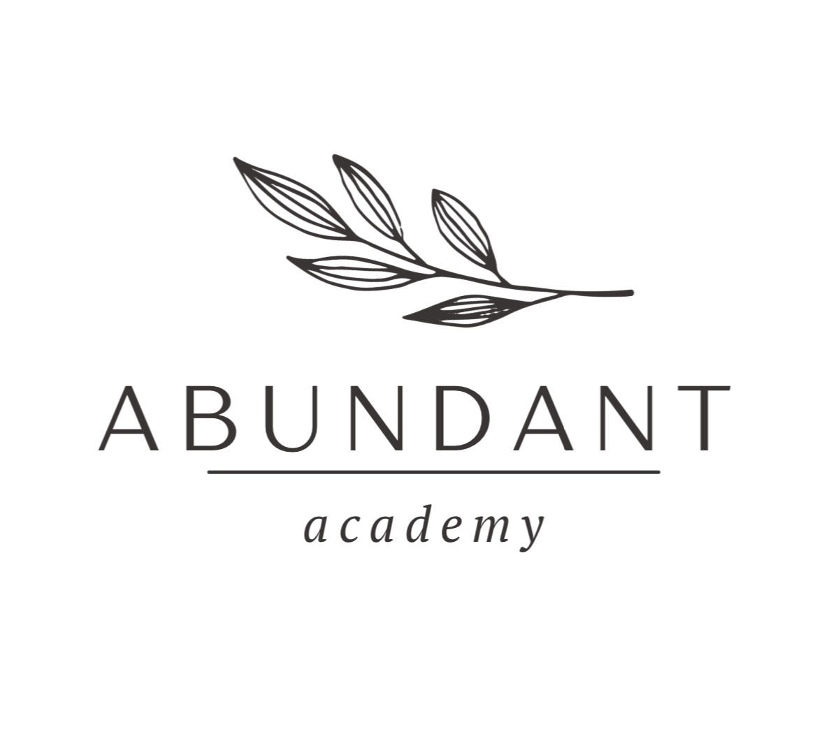 Abundant Academy