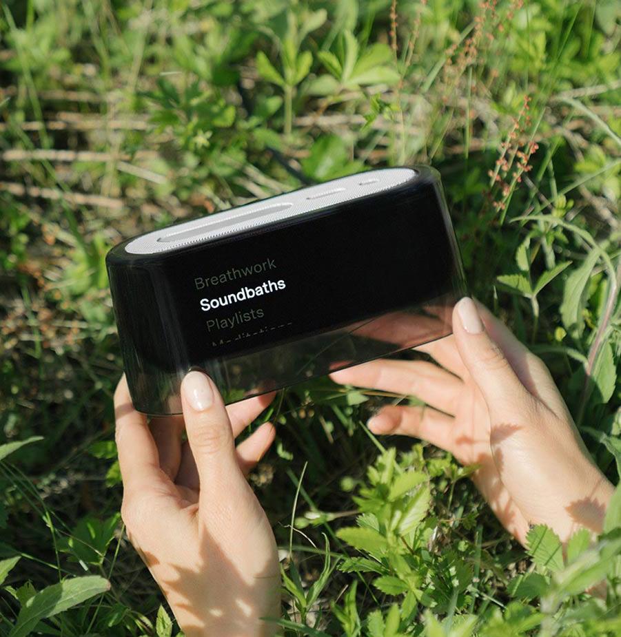 Holiday Gift Guide: Eco-Conscious Home Gifts