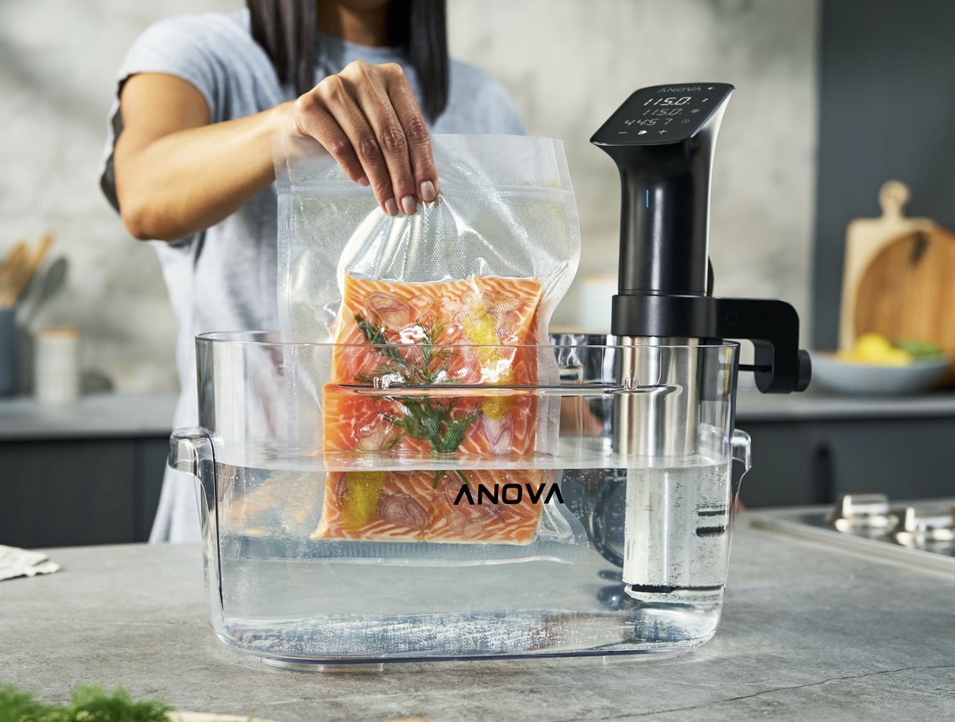 Anova Precision Cooker Pro