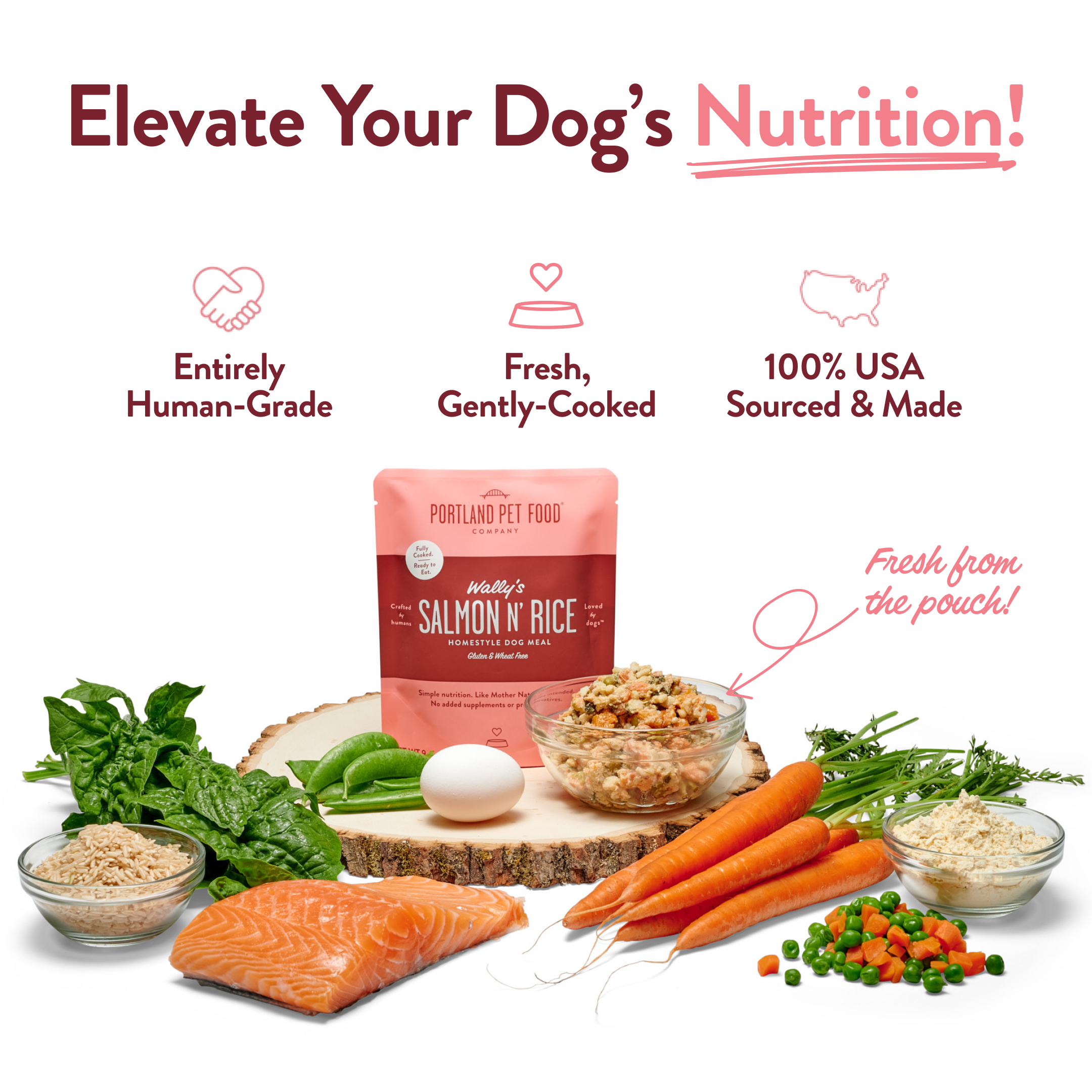 Wally's Salmon N' Rice Homestyle Dog Meal