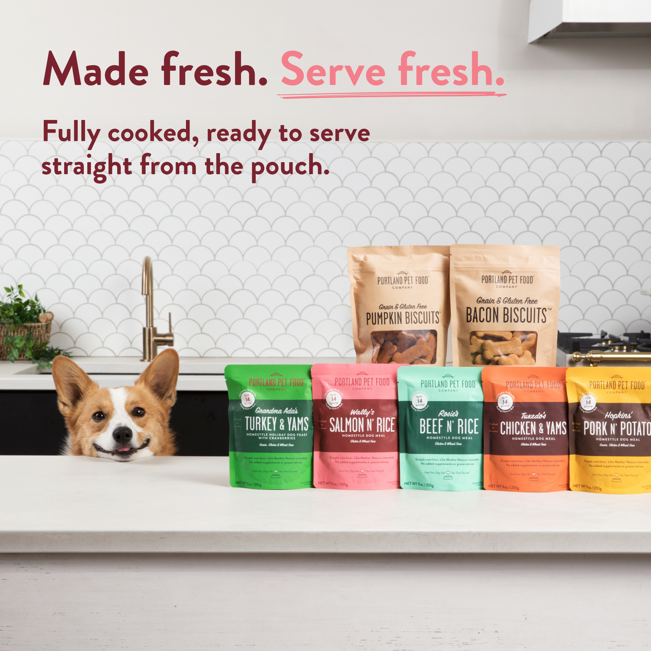 Wally's Salmon N' Rice Homestyle Dog Meal