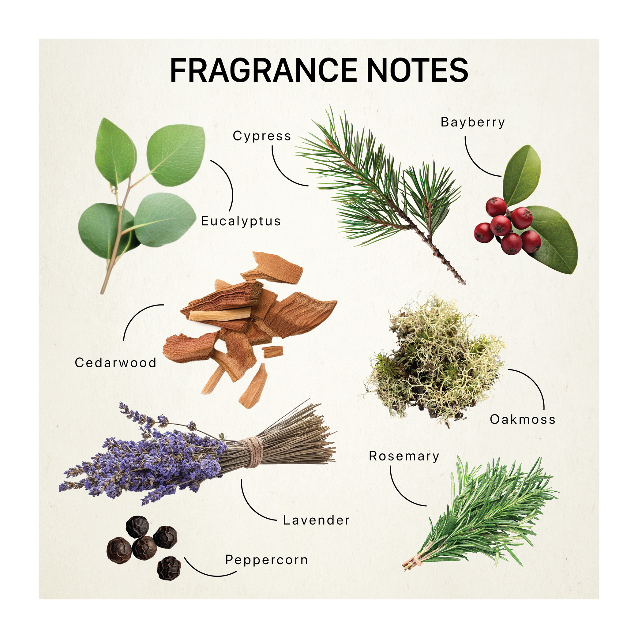 La Fleur - WINTER'S SOLSTICE CANDLE