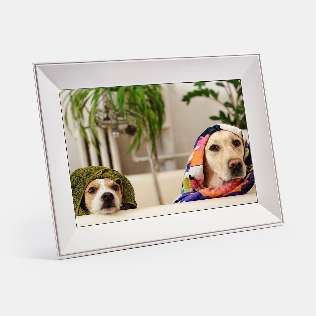 Holiday Gift Guide: Gifts for the Pet Parent