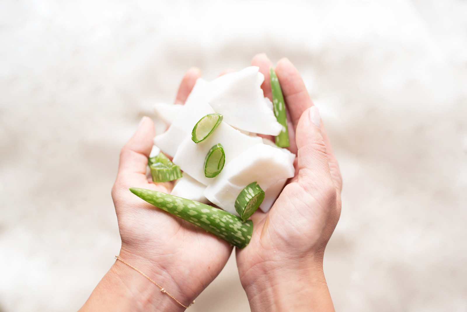 Ingredient Spotlight: Aloe