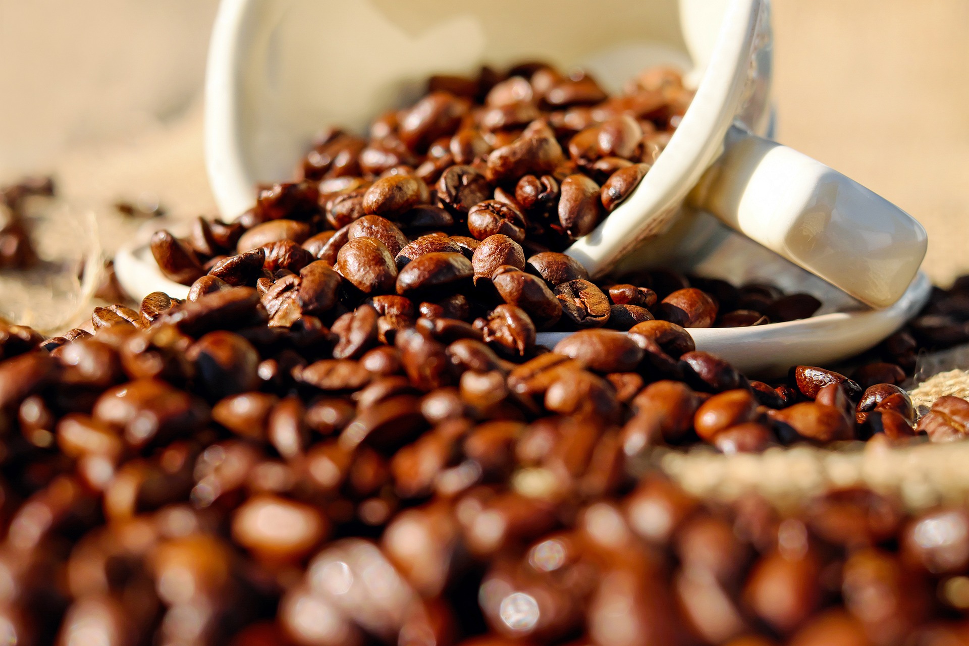 42 Days Coffee
