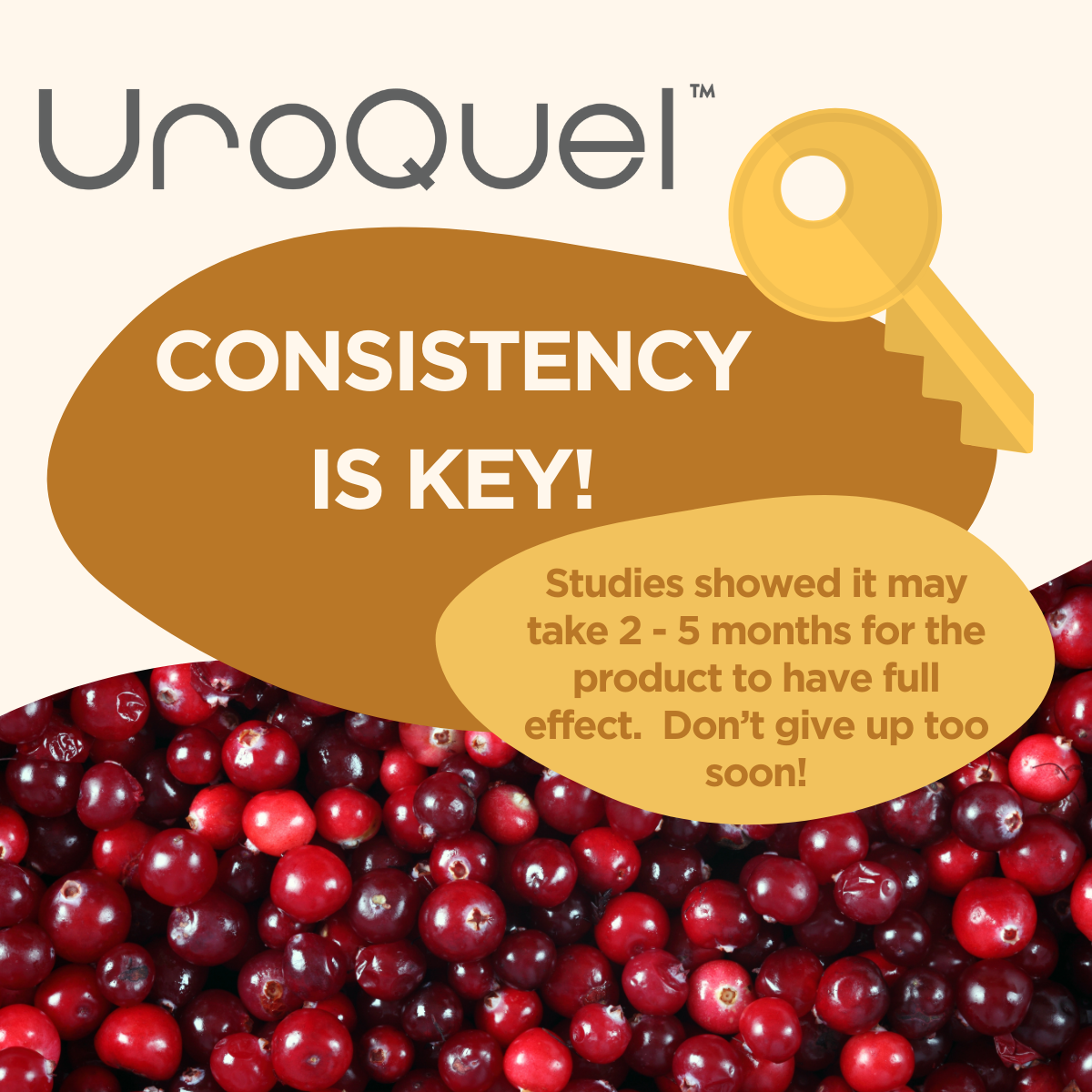 UroQuel Overactive Bladder Support