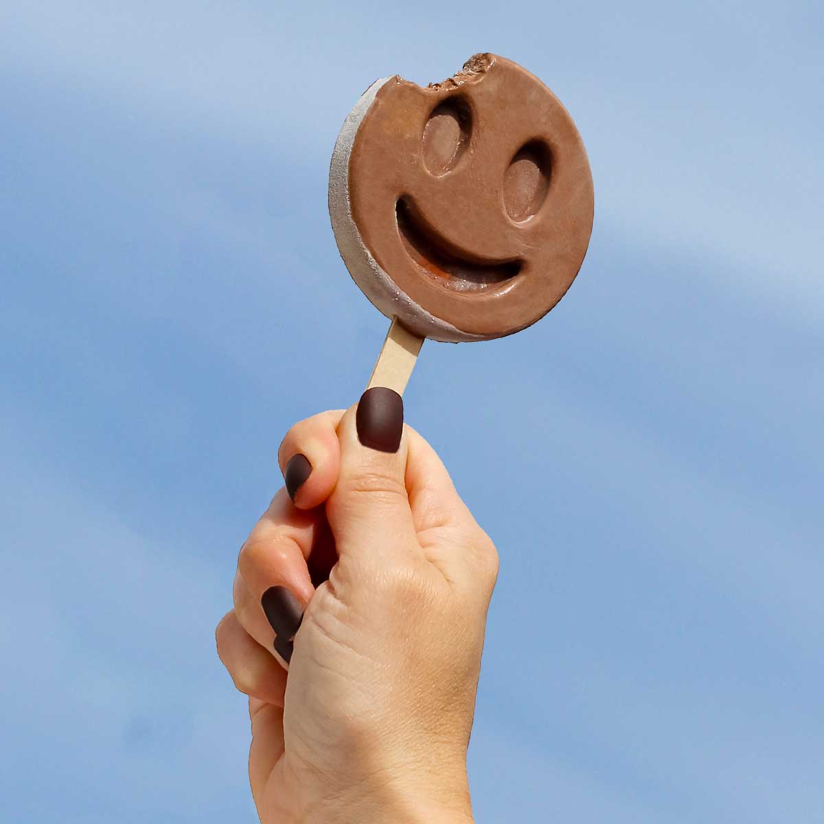 Organic Fudge