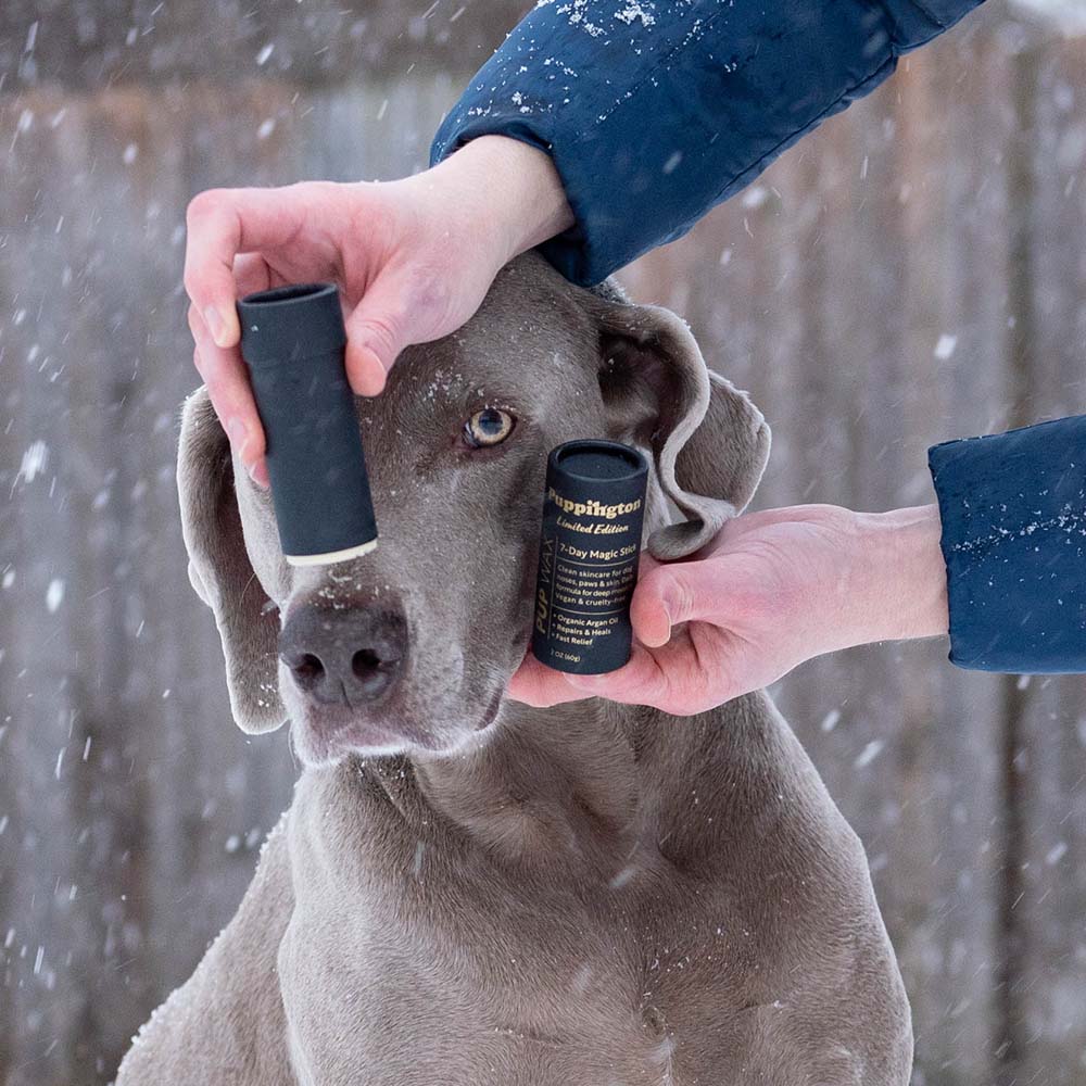 Pet Care Products