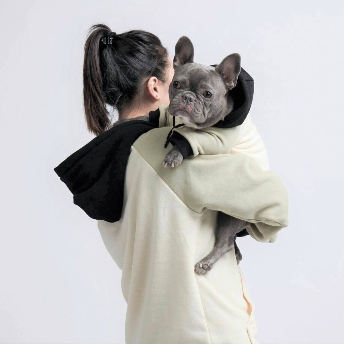 Pet Accessories