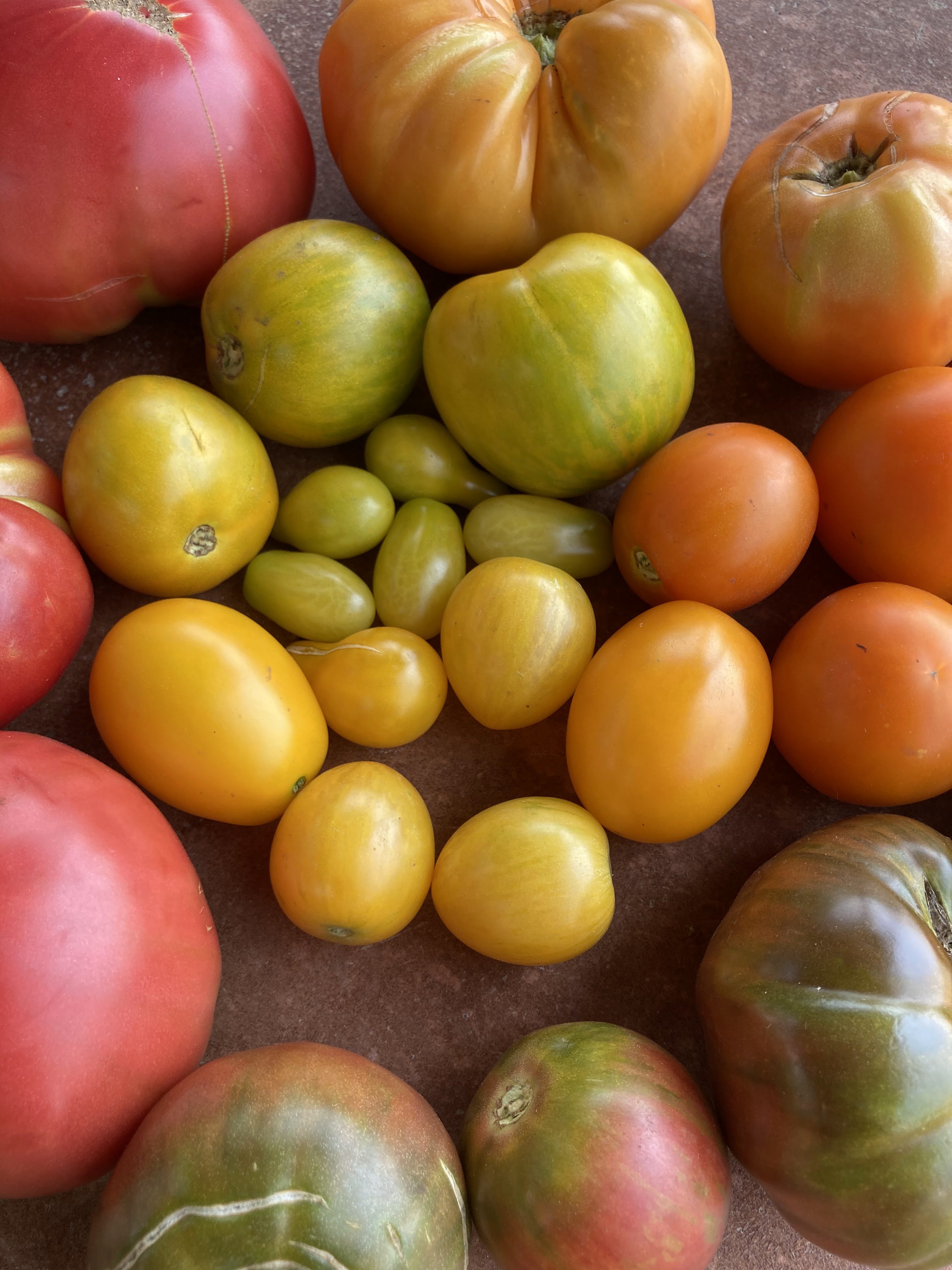 You Say Tomato